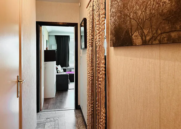 2 Bedroom Cozy In Apartamento *